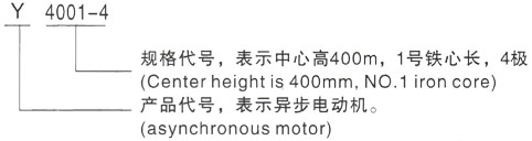 西安泰富西玛Y系列(H355-1000)高压YKK5002-10/355KW三相异步电机型号说明