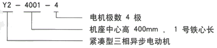 YR系列(H355-1000)高压YKK5002-10/355KW三相异步电机西安西玛电机型号说明